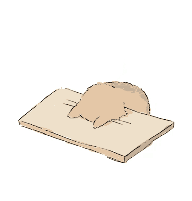 A GIF of a cat banging head on a table